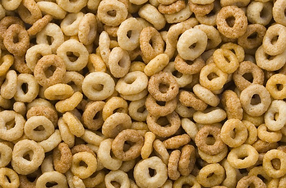 Can Dogs Eat Apple Jacks Can Dogs Eat Apple Jacks
