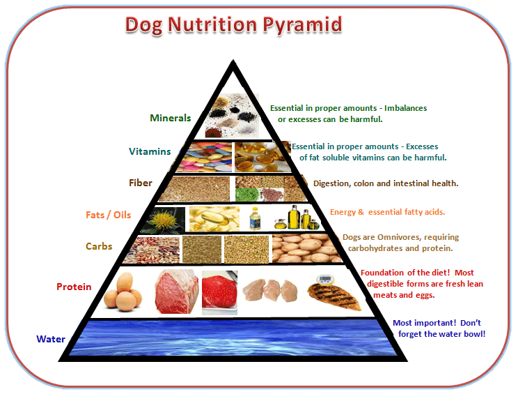 Dog Food Diet Chart