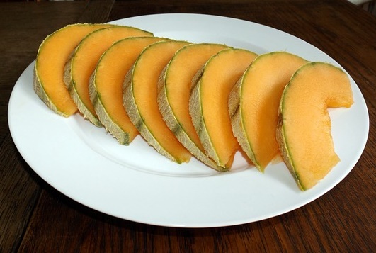 can eat cantaloupe rabbit food archives tips can eat cantaloupe rabbit food archives tips