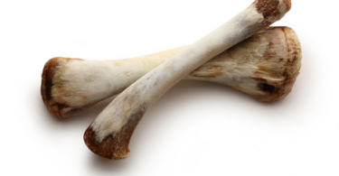 Can Dogs Eat Almond Milk Can Dogs Eat Almond Milk