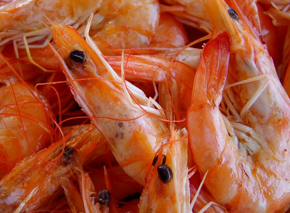 Can Dog Eat Cooked Shrimp Can Dog Eat Cooked Shrimp
