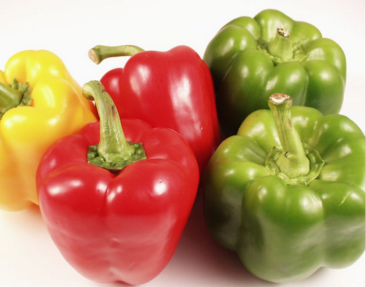 can dogs green peppers can dogs eat bell peppers green or yellow can dogs green peppers can dogs eat bell peppers green or yellow