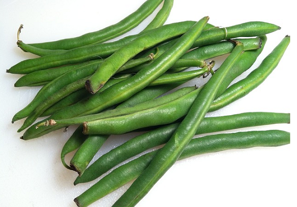 can dogs eat green beans can guinea pigs eat green beans or cooked can dogs eat green beans can guinea pigs eat green beans or cooked
