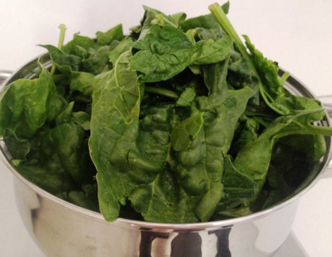 can eat spinach can guinea pigs eat spinach can eat spinach can guinea pigs eat spinach