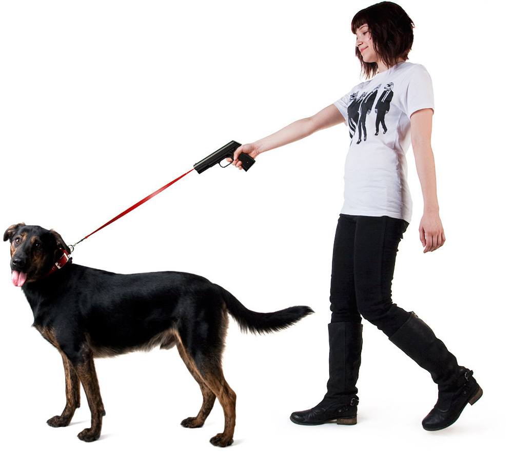 Jumping and Tugging on Leash Behaviours