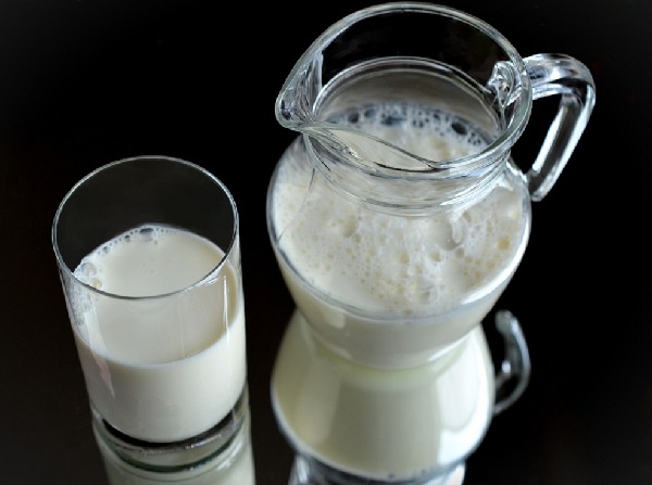 Can Dogs Have Milk To Drink Can Dogs Have Milk To Drink