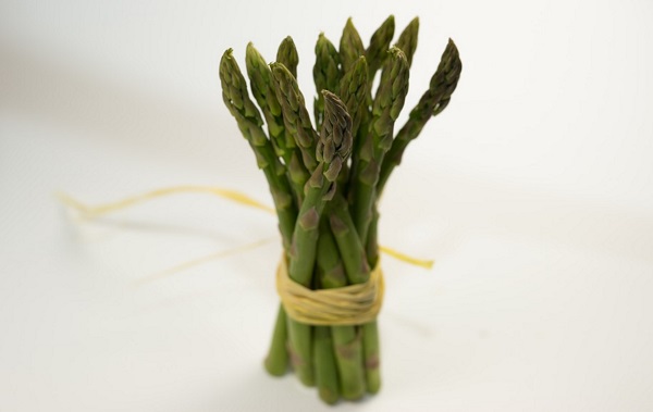 Can Dogs Eat Cooked Celery Leaves Can Dogs Eat Cooked Celery Leaves