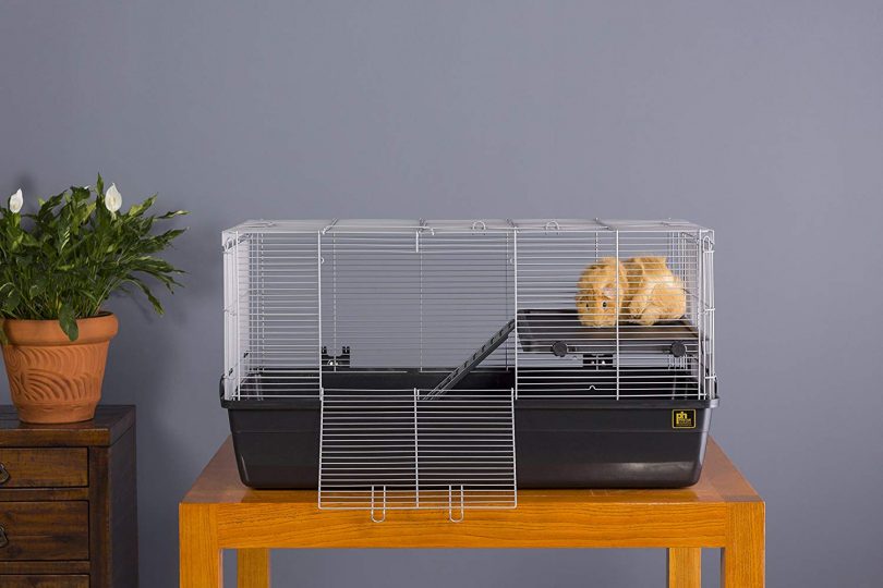 6 Of The Best Guinea Pig Cages To Buy This Year 6 Of The Best Guinea Pig Cages To Buy This Year
