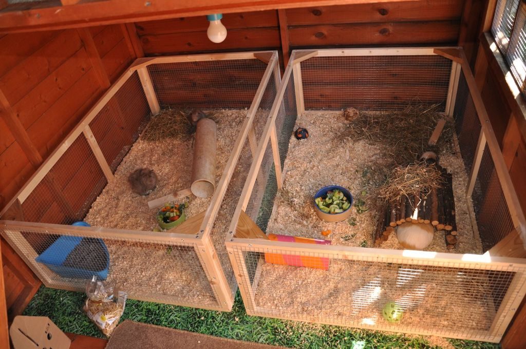 diy hamster cage